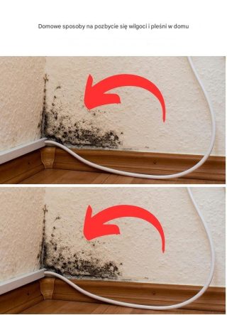 Domowe sposoby na pozbycie się wilgoci i pleśni w domu