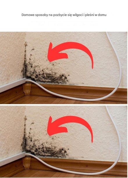 Domowe sposoby na pozbycie się wilgoci i pleśni w domu