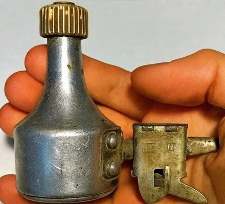 Mój syn znalazł to w naszym ogrodzie… i teraz zastanawiamy się, co to za dziwna rzecz. Czy rozpoznajesz, co jest na zdjęciu?