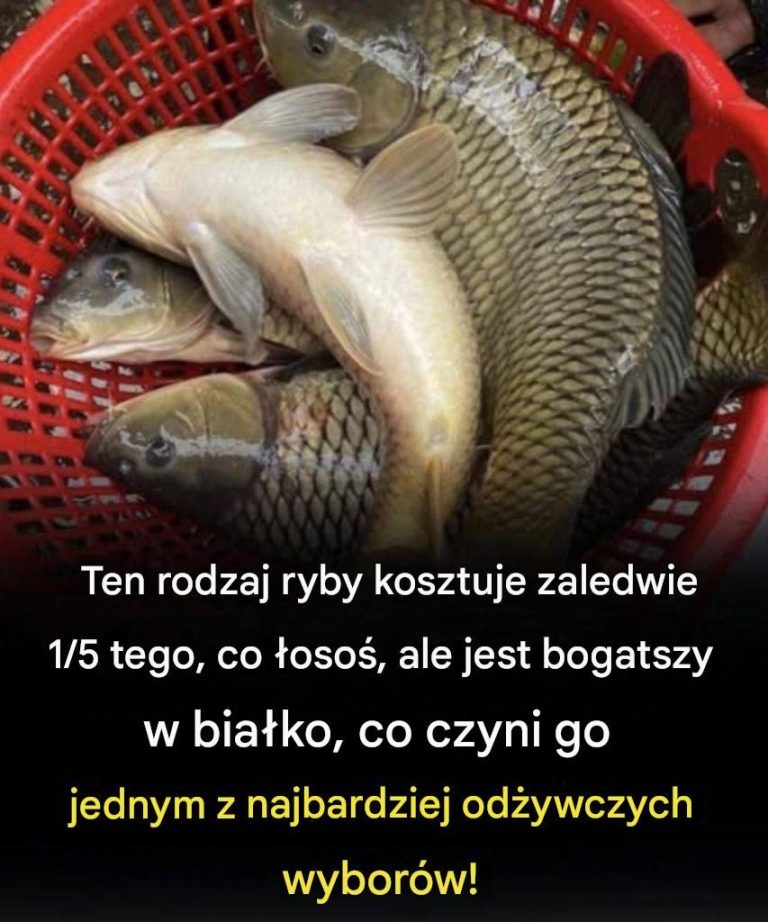 Ten rodzaj ryby kosztuje zaledwie 1/5 tego, co łosoś, ale jest bogatszy w białko, co czyni go jednym z najbardziej odżywczych wyborów!