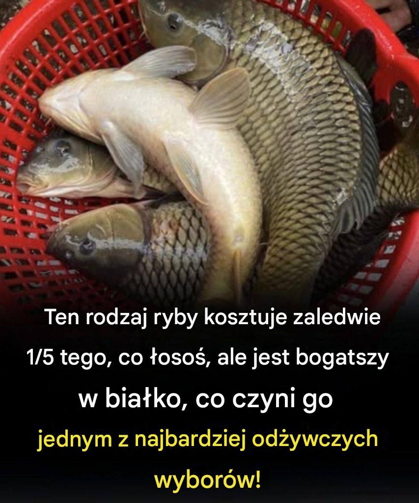 Ten rodzaj ryby kosztuje zaledwie 1/5 tego, co łosoś, ale jest bogatszy w białko, co czyni go jednym z najbardziej odżywczych wyborów!