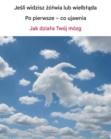 🧠Jeśli najpierw zobaczysz żółwia lub wielbłąda – co to mówi o działaniu twojego mózgu