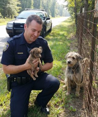 Szczeniak pobiegł na policję po pomoc. To, co się stało, było niewiarygodne.