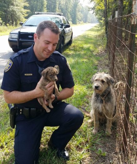 Szczeniak pobiegł na policję po pomoc. To, co się stało, było niewiarygodne.