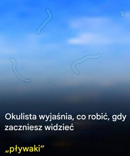 Czym są obiekty pływające? Oto, co zrobić, gdy je zobaczysz.