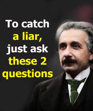 Po obejrzeniu tego filmu już nigdy nie dasz się nabrać